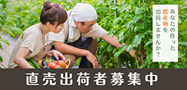 直売出荷者募集中