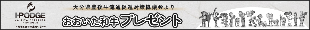 ハッジパッジＴＶ番組用ページ